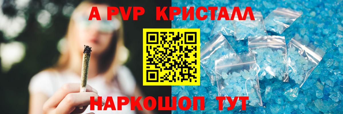 Альфа ПВП СК КРИС Карабулак
