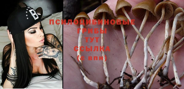 стафф Армянск