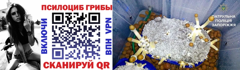 MEGA ТОР  Карабулак  Псилоцибиновые грибы ЛСД 